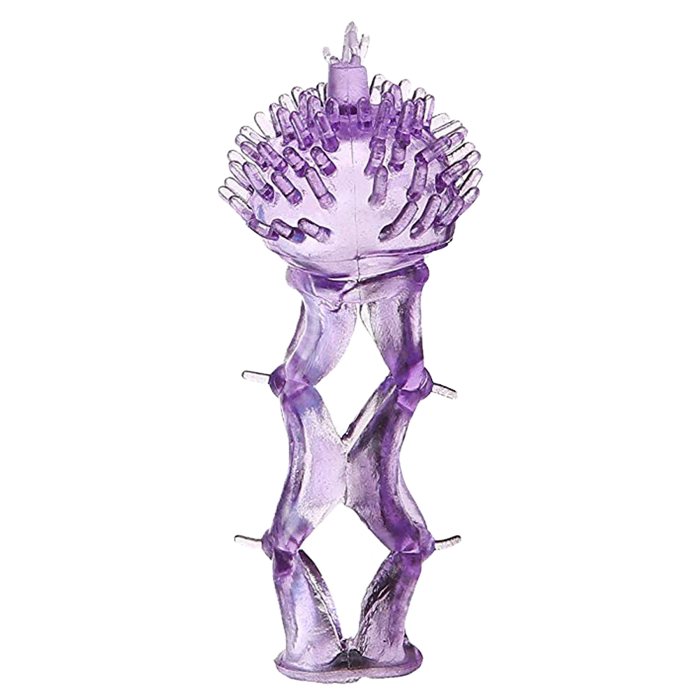 Happy Top Tickler Cage